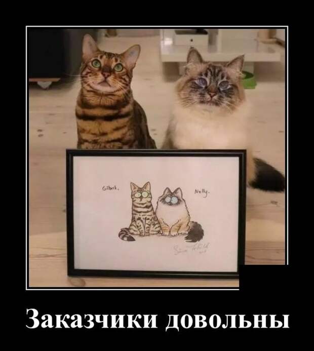 Демотиваторы (20 фото)