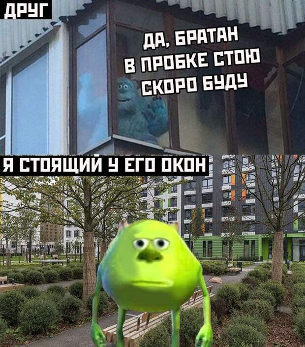 kartinok-prikolnyh-podborka-kartinki-smeshnye-kartinki-fotoprikoly