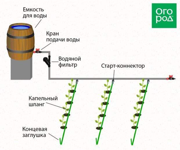 Капельный полив - схема 3 