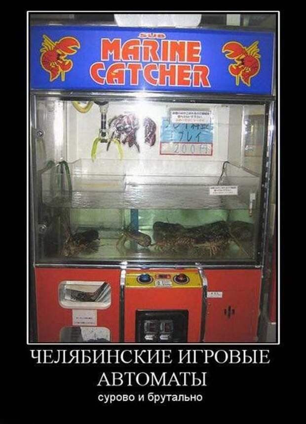 Прикольные демотиваторы (17 шт)