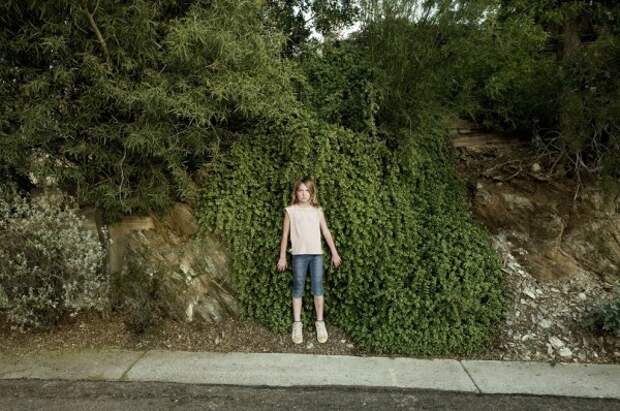 Юмор в фотографии от Зака Секлера (15 фото)