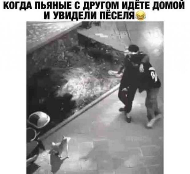Шутки и мемы про алкоголь