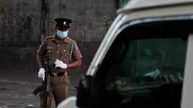 Осуждённые в Шри-Ланке за сбор жуков россияне вернулись на родину