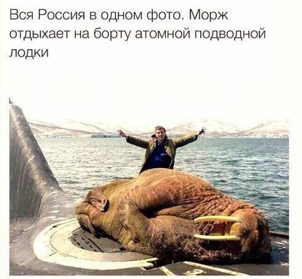 О жизни на подводной лодке