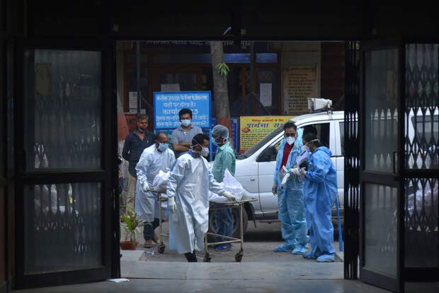 Эпидемиолог Покровский: России вирус Нипах не угрожает – пандемия маловероятна