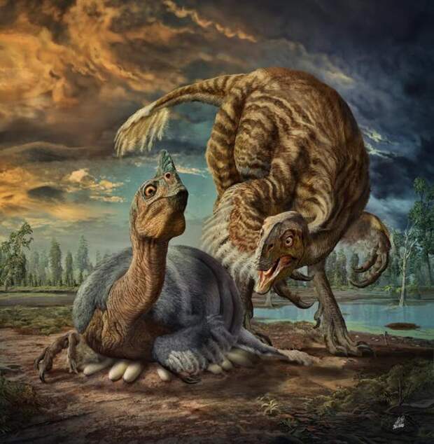 Динозавры высиживали свои яйца многие месяцы: привычка, погубившая их в годы тьмы и бескормицы / ©Zhao Сhuang