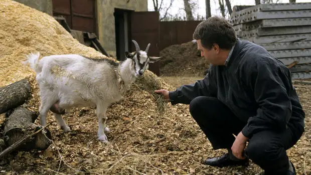 В Госдуме выразили надежду, что в Киеве появится улица Жириновского