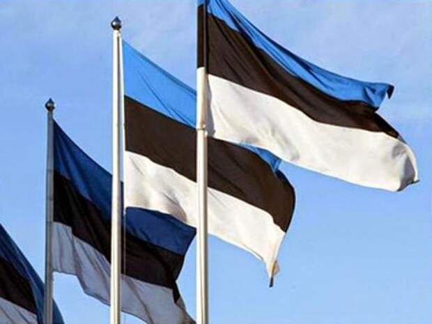 Эстония забила тревогу: выхода нет – пришло время отправить «шипы» в Россию 