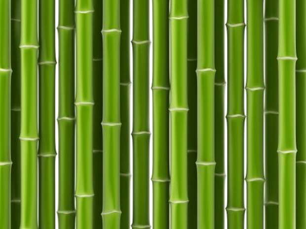 Bamboo glow. Бамбук настоящий. Red Gates bambuk.