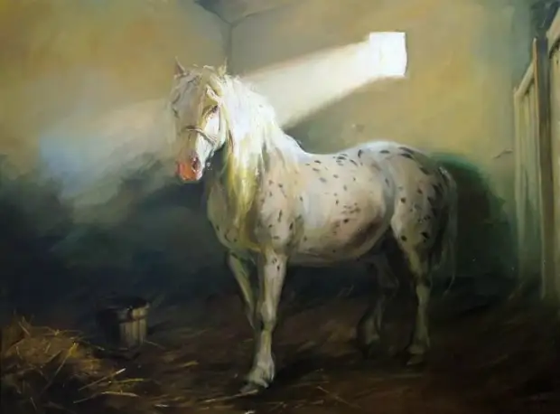    (Laszlo Gulyas)   09