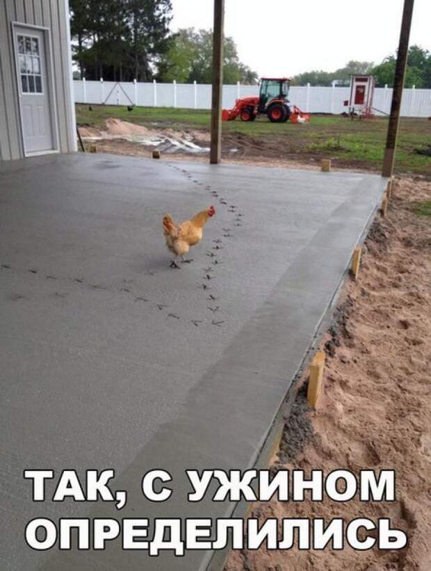 l4FiqnONx90