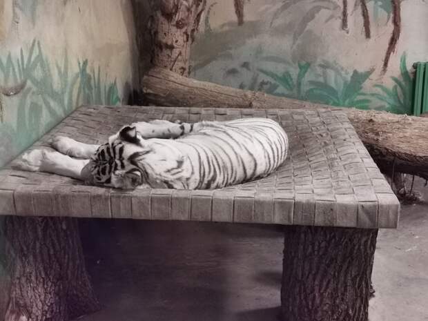 ТАШКЕНТ-ГОРОД ВКУСНЫЙ