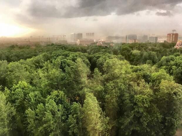 На Москву обрушился ураган (18 фото) На Москву обрушился ураган (18 фото)
