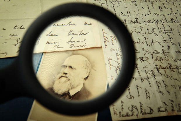 Историки реконструировали личную библиотеку Чарльза Дарвина