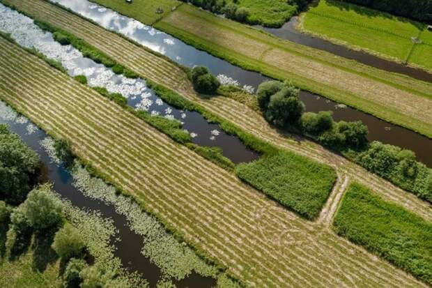 Узкие полоски островков используются в качестве сельхозугодий (Vinkeveense Plassen, Нидерланды). | Фото: makelaardij-witte.nl.