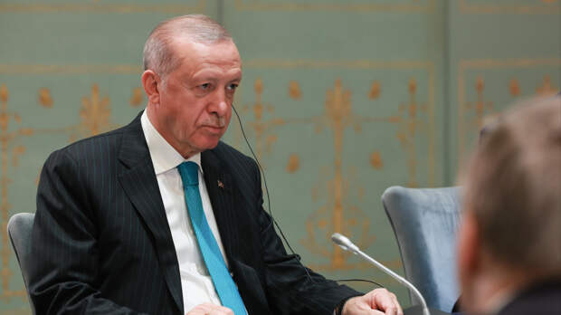 «Ничто не мешает нам это сделать»: Эрдоган пригрозил ввести войска в Израиль