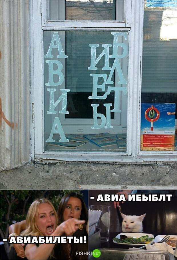 Наши любимые мемы с котом