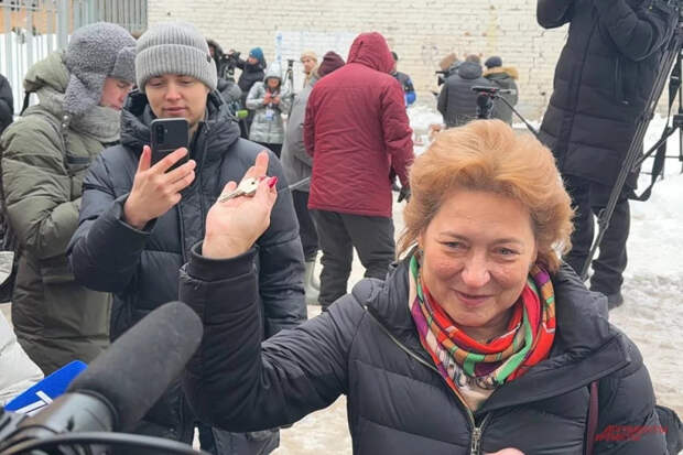 Адвокат Лурье готовит новый иск в суд против Долиной