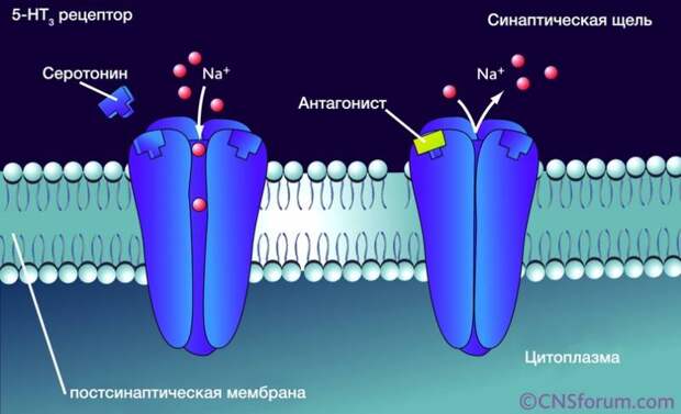 Нервно-паралитические ОВ. Пестициды и диверсионные яды