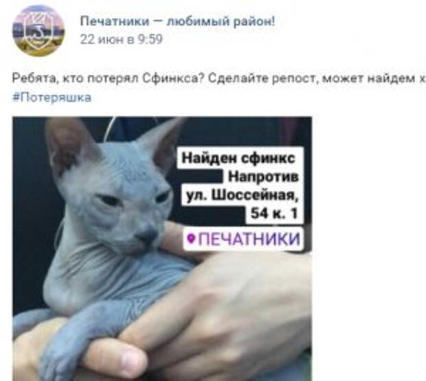 Скриншот из группы "Печатники- любимый район"