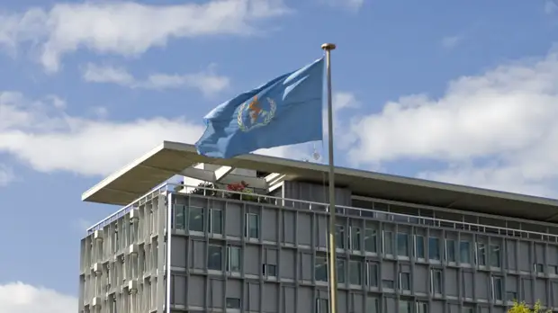 Представитель ВОЗ Бердзули заявила, что COVID-19 придётся придать эндемический характер