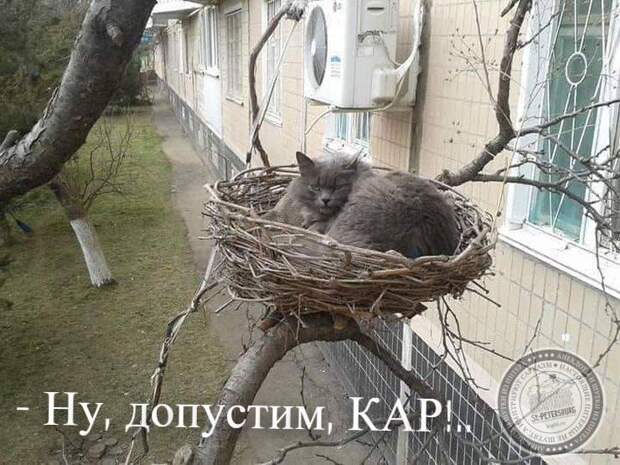 Кар