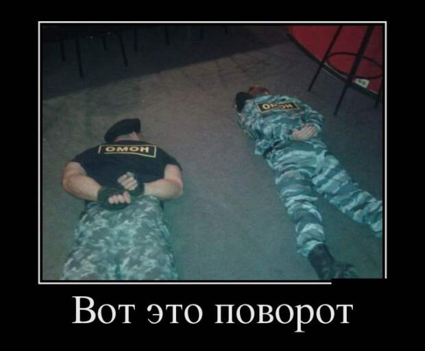 Демотиваторы