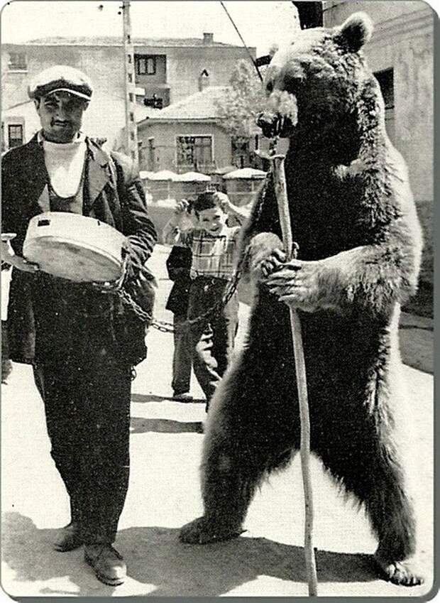 Уличный цирк с медведем Весь Мир в объективе, ретро, старые фото