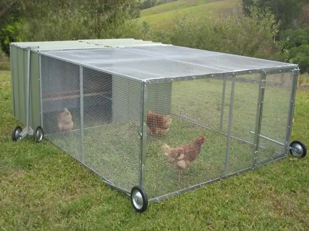 Клетка для содержания бройлеров: как собрать дом для кур и цыплят в домашних условиях