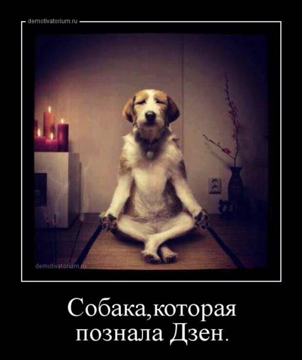 Демотиваторы Дзен