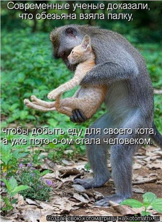 Мысли вслух :)