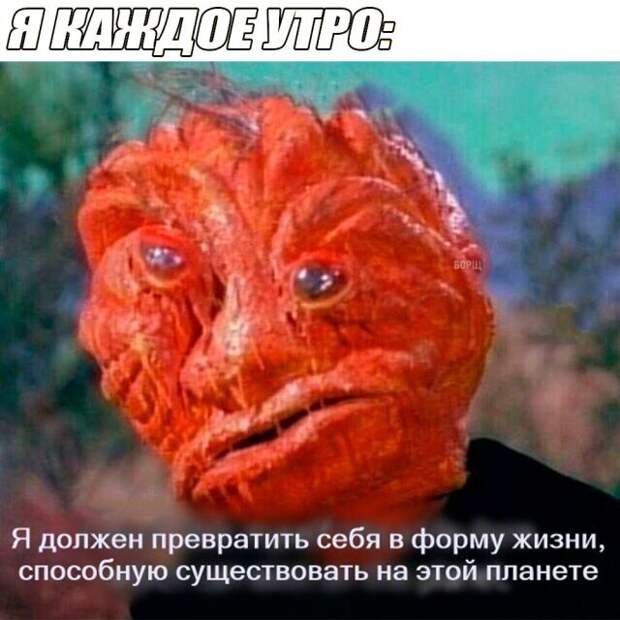 Подборка картинок (20 фото)