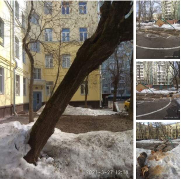 Спиленное дерево повредило спортивную площадку на Енисейской