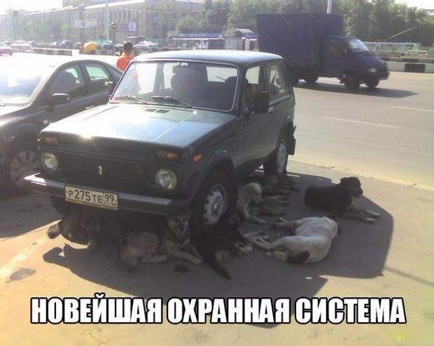 Лучшие автоприколы за последнее время