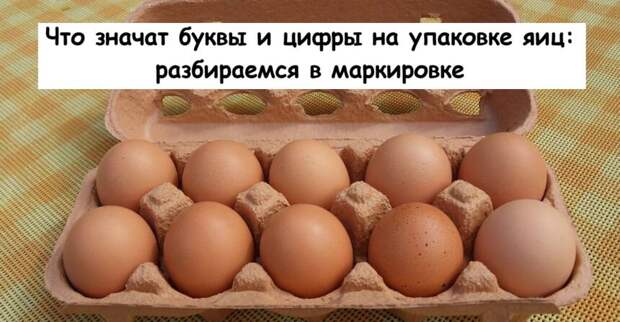 Что значат буквы и цифры на упаковке яиц: разбираемся в маркировке