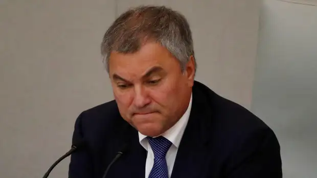 Володин обсудил развитие межпарламентских отношений с председателем Национального собрания ЦАР