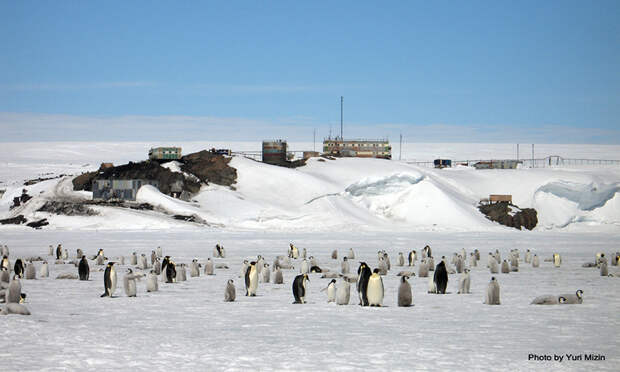 Антарктическая станция Мирный