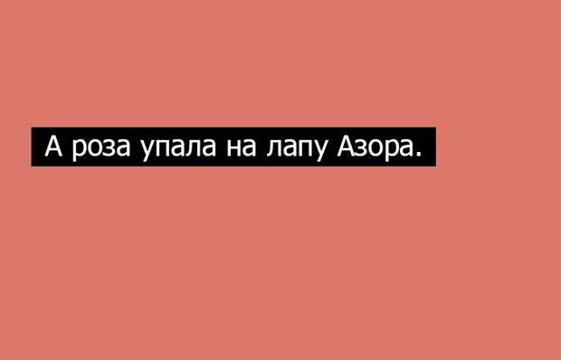20 волшебных фраз-палиндромов, которые одинаково читаются слева направо и наоборот наоборот, слова, фраза