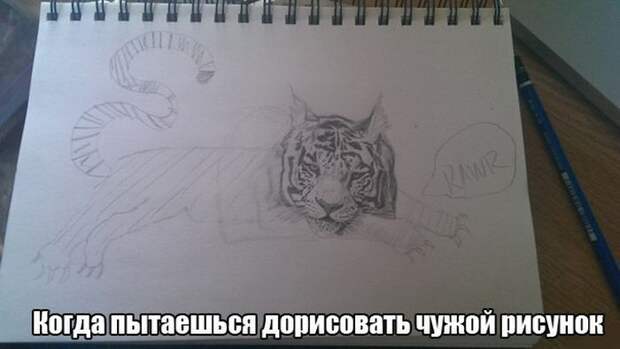 Прикольные картинки