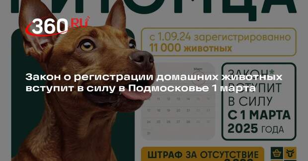 Закон о регистрации домашних животных вступит в силу в Подмосковье 1 марта