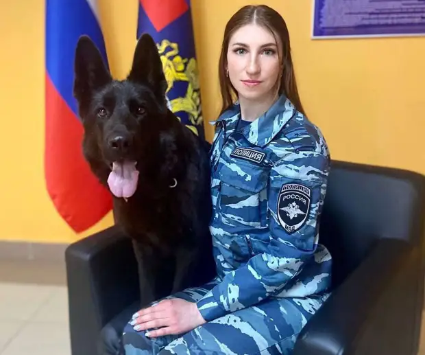 Собака Кадис помогла задержать убийцу девушки легкого поведения в Петербурге