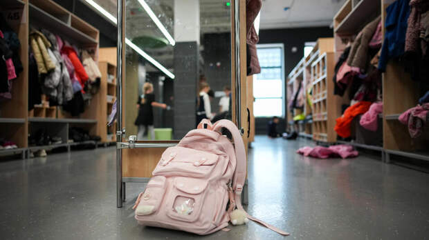 В России предотвратили 37 атак на учебные заведения