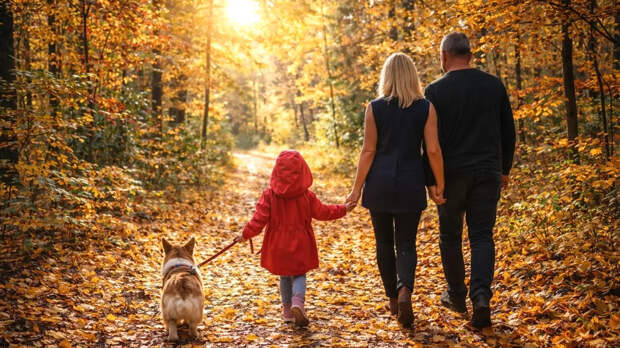 В деле Усольцевых тревожный поворот: Куда делись следы пропавшей семьи?