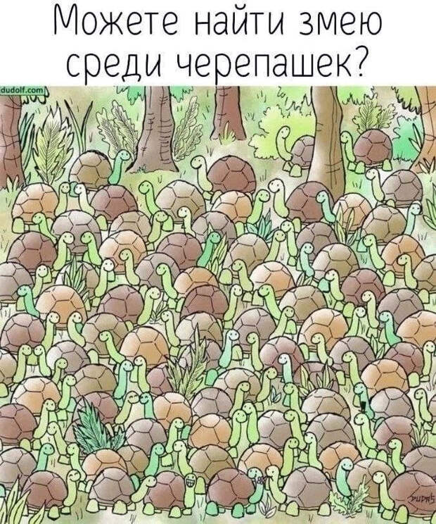 Подборка легкого юмора для заряда позитивом
