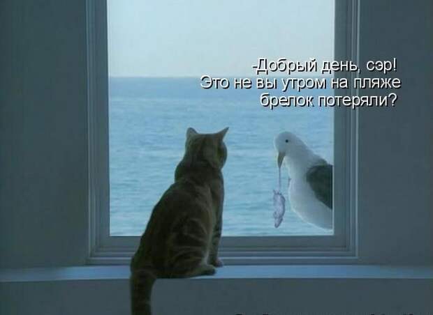 Мысли вслух :)