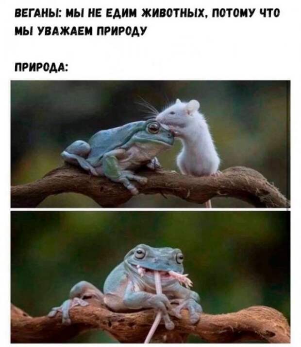 Картинки и мемы для настроения
