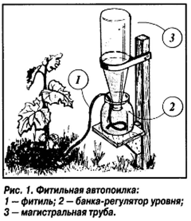 Поливаем огород. Способы полива (сборка)