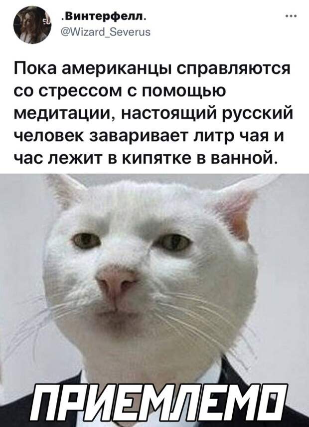 Смешные картинки 29 сентября 2021 года