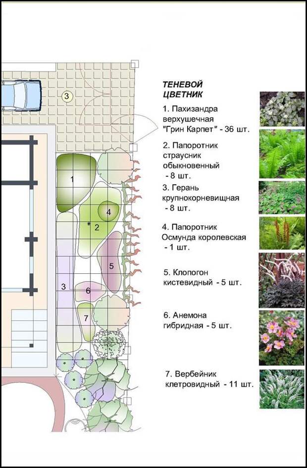 теневой садик