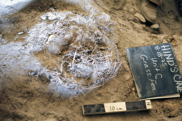9. Самый старый матрас (77.000 лет). история, самые первые, факты